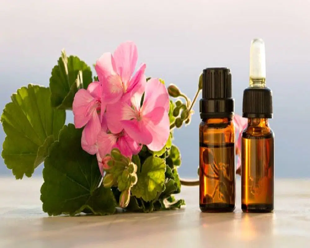 huile essentielle de géranium