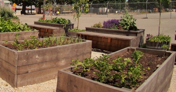 jardinière en palette de bois