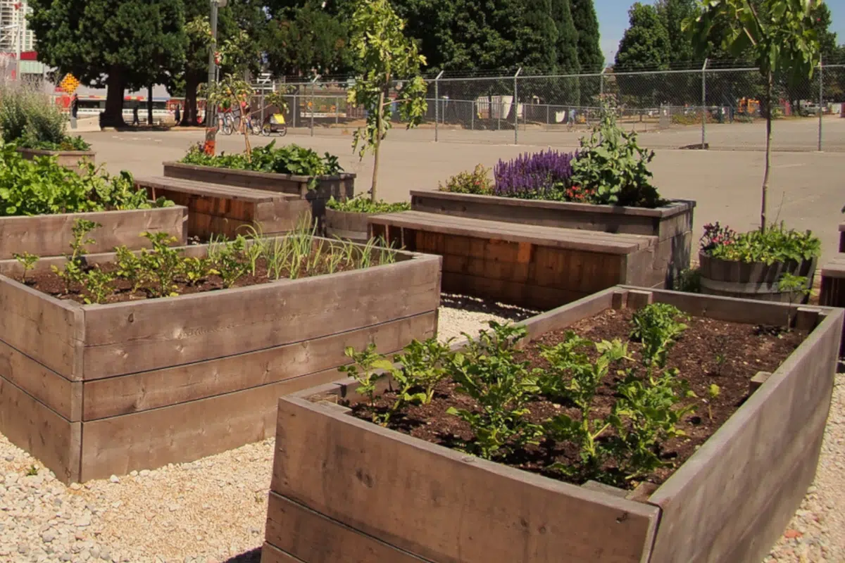 jardinière en palette de bois